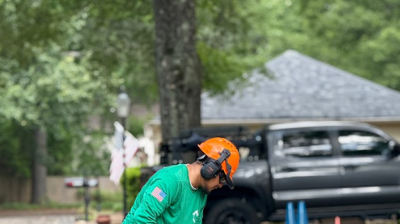 Tree Services