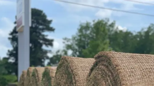Sod install