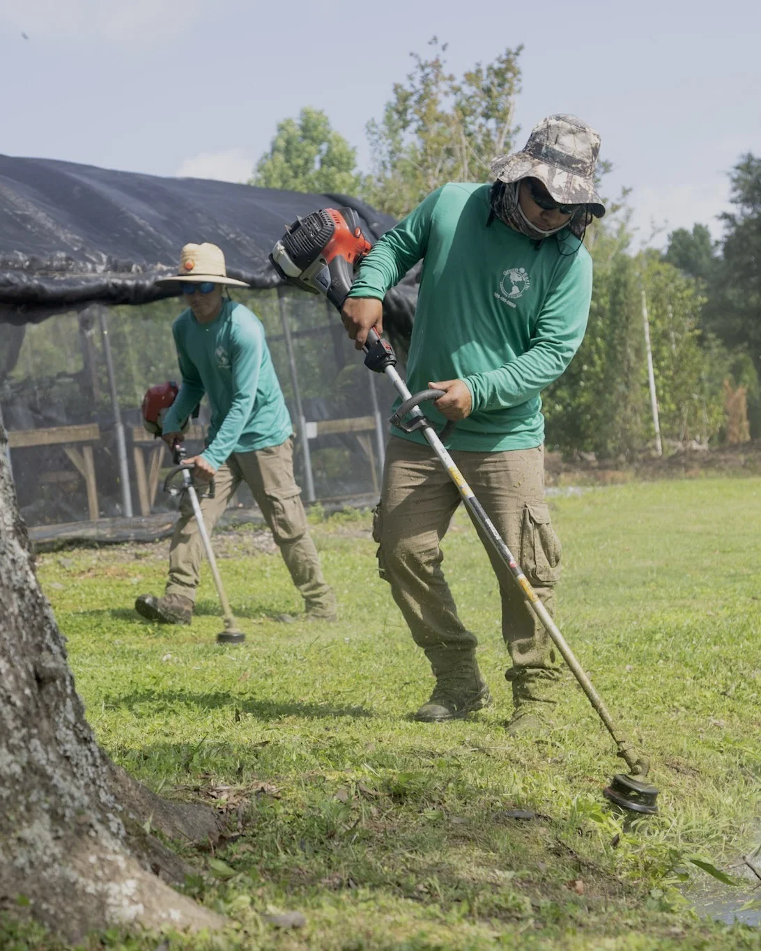 Green Earth landscaping crew maintaining the grounds at a commercial property in the Greater Memphis Area.