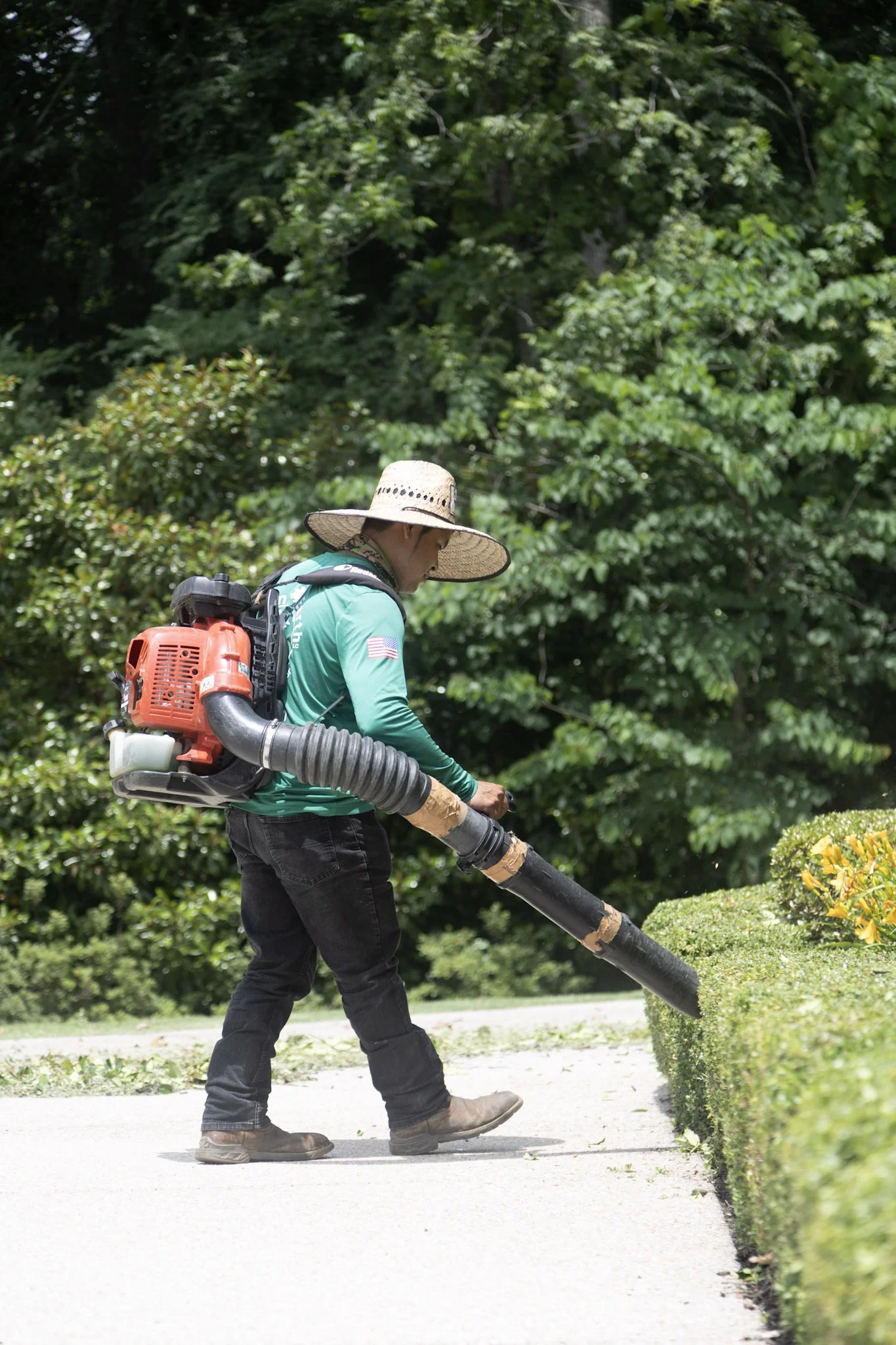 Green Earth LLC crew member using a backpack leaf blower for fall leaf cleanup along a hedge in Memphis TN
