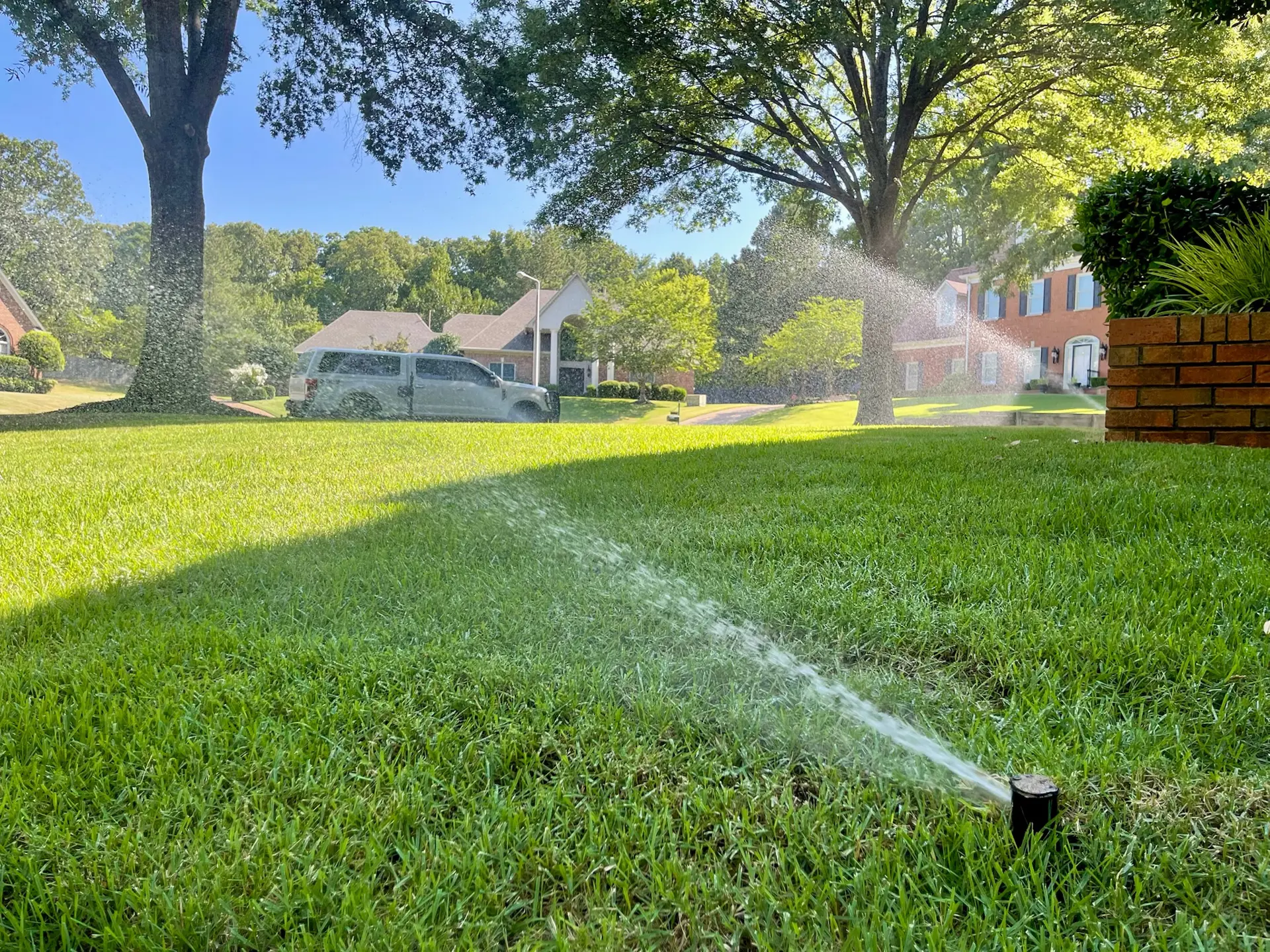 irrigation