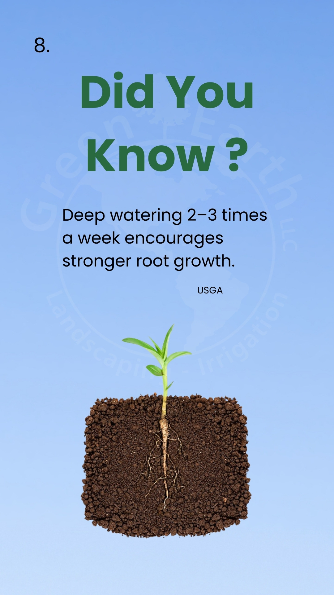 Did You Know card: deep watering two to three times a week encourages stronger root growth