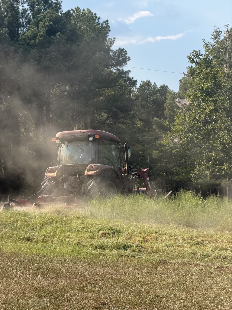 Red tractor bush-hogging a field