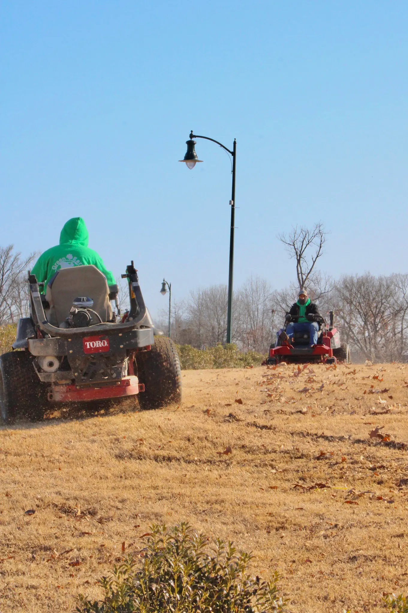 Front Yard Transformation Photo