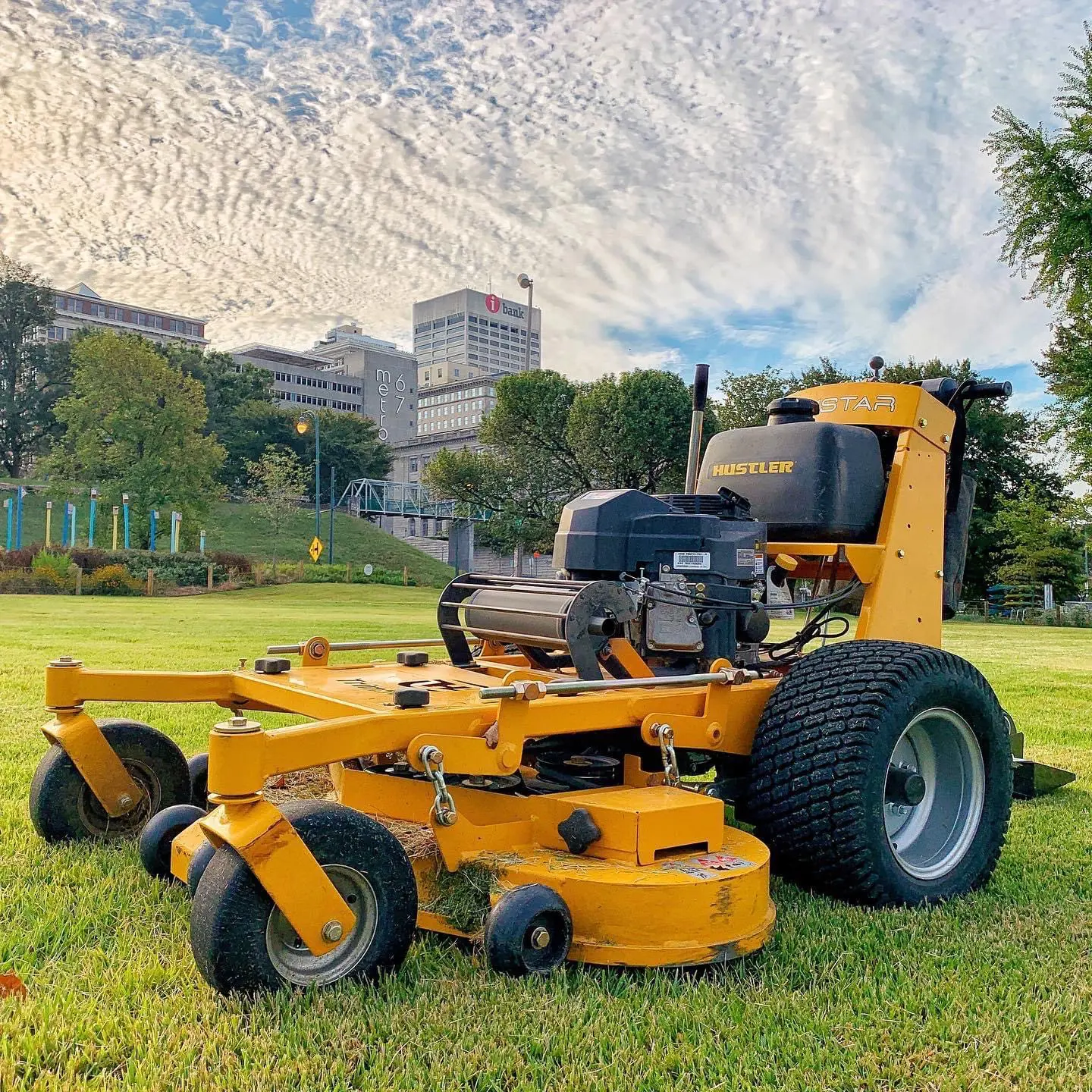 Front Yard Transformation Photo