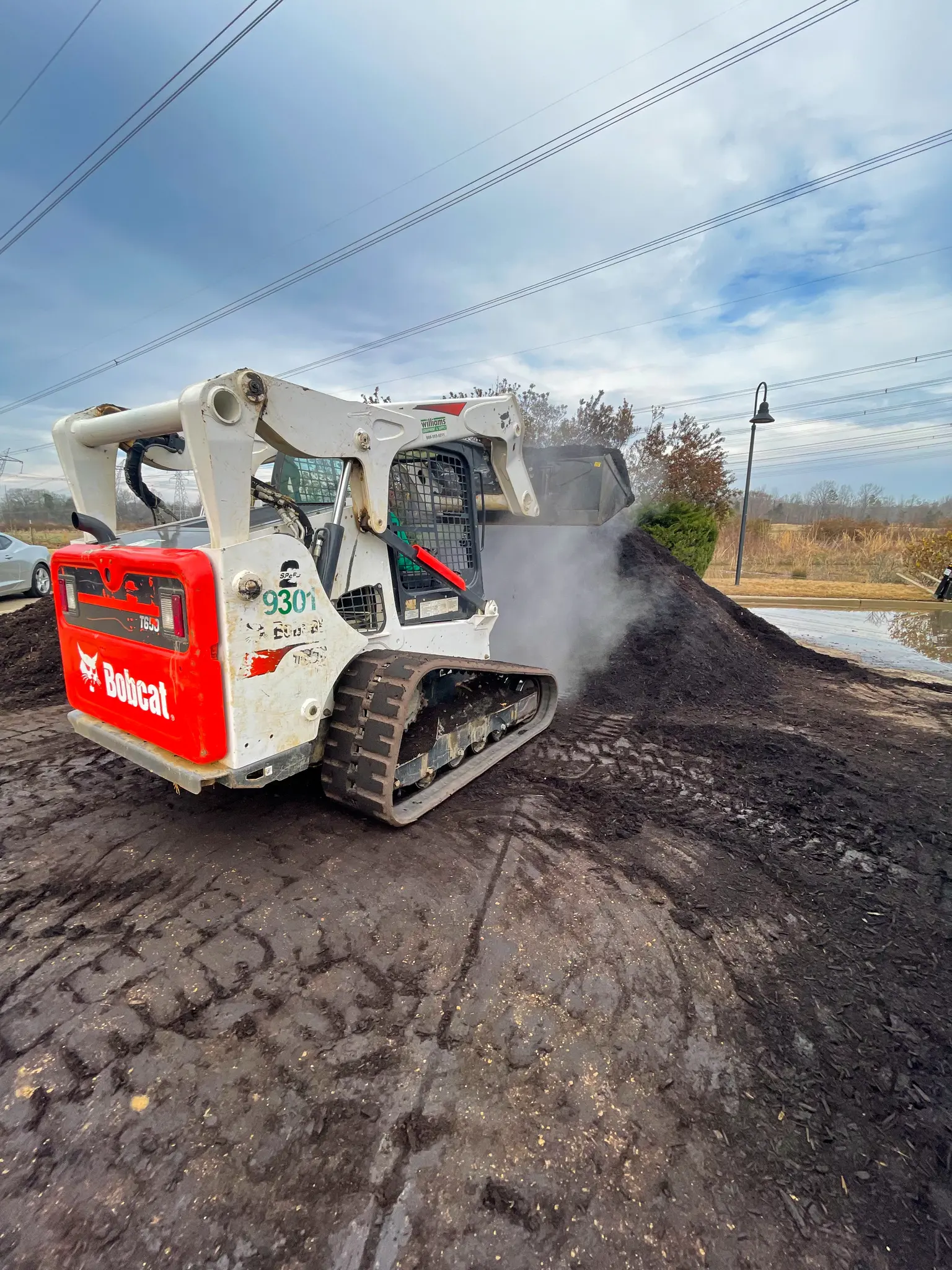 Front Yard Transformation Photo