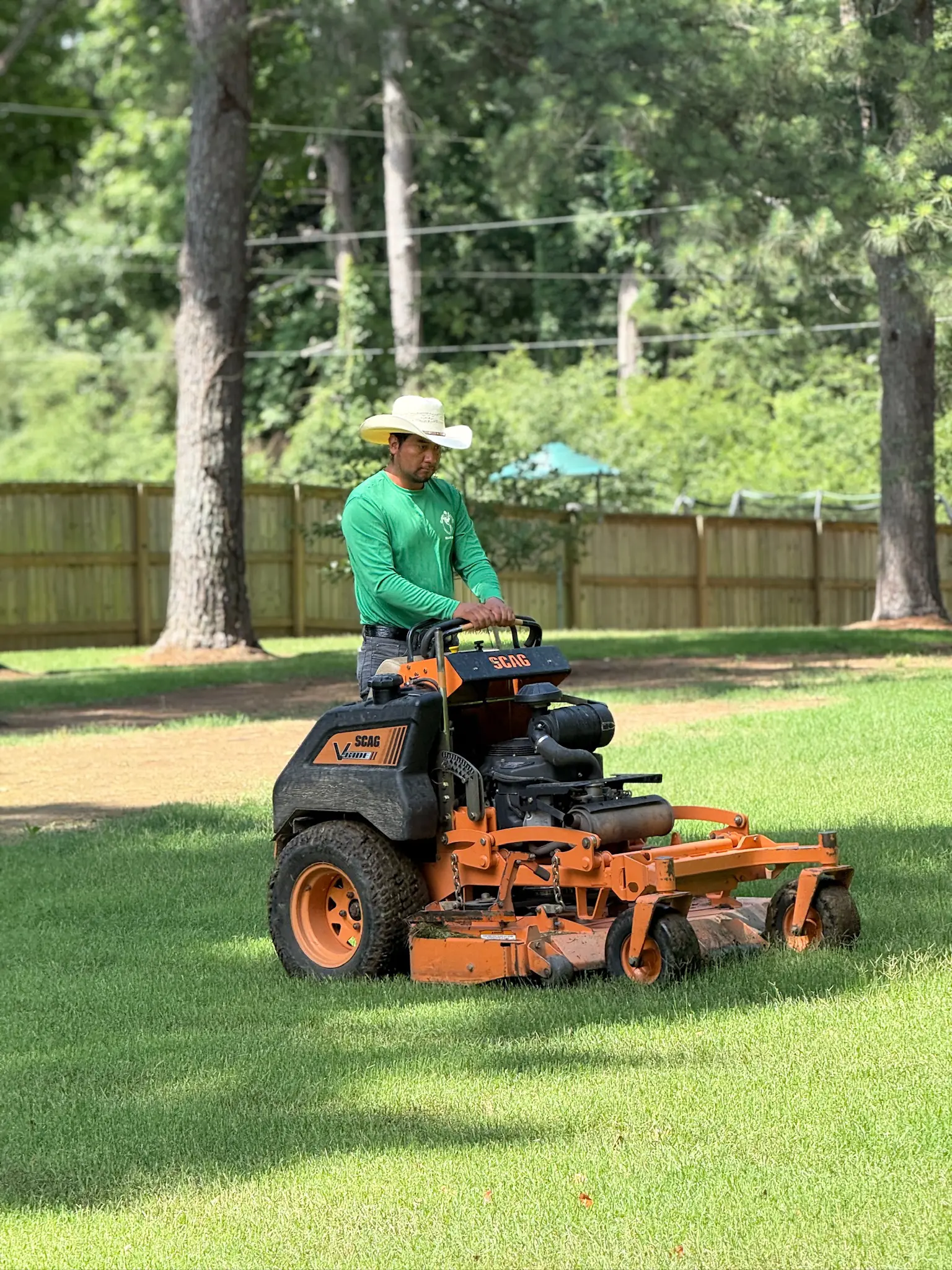Front Yard Transformation Photo